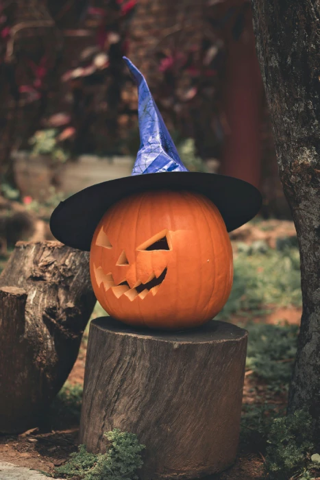 citrouille avec chapeau de sorcière